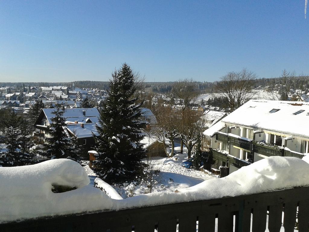 Maisonette Apartment Am Kurpark Braunlage Dış mekan fotoğraf